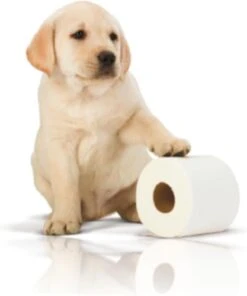 Page Toiletpapier - 32 Rollen - Kussenzacht Wc Papier (3-laags) - Voordeelverpakking -Levensrandproducten 1001x1200 2