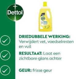 Dettol - Power & Fresh - Allesreiniger - Citrus - 8 X 1 Liter -Levensrandproducten 1149x1200 3