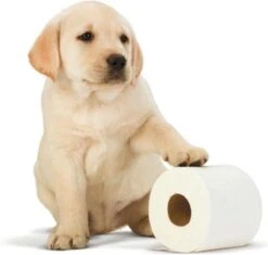 Scottex Toiletpapier - Kussenzacht Design Wc Papier - 84 Rollen -Levensrandproducten 1200x1142 8