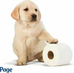 Page Toiletpapier - Eco - Duurzaam - 24 Rollen - Voordeelverpakking -Levensrandproducten 1200x1186 7