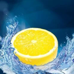 Witte Reus Kracht Actief Toiletblok - Citrus - WC Blokjes Voordeelverpakking - 10 Stuks 33 Witte Reus Kracht Actief Toiletblok - Citrus - WC Blokjes Voordeelverpakking - 10 Stuks -Levensrandproducten 1200x1200 1191