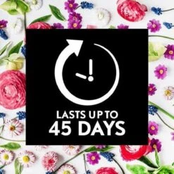 Air Wick Essential Mist Automatische Geurverspreider Luchtverfrisser - Innerlijke Rust - Navulling -Levensrandproducten 1200x1200 1236