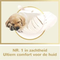 Page Puur Toiletpapier - 24 Rollen - Extra Duurzaam Wc Papier - Voordeelverpakking -Levensrandproducten 1200x1200 1290