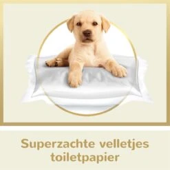 Page Puur Toiletpapier - 24 Rollen - Extra Duurzaam Wc Papier - Voordeelverpakking -Levensrandproducten 1200x1200 1291