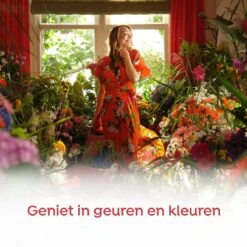 Robijn Klein & Krachtig Rosé Chique Vloeibaar Wasmiddel - 8 X 19 Wasbeurten - Voordeelverpakking -Levensrandproducten 1200x1200 30