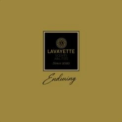 Lavayette Premium Wasparfum - Proefpakket 9x25ml - Geurbooster 15 Lavayette Premium Wasparfum - Proefpakket 9x25ml - Geurbooster -Levensrandproducten 1200x1200 359