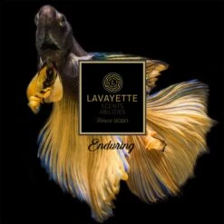Lavayette Premium Wasparfum - Proefpakket 9x25ml - Geurbooster 16 Lavayette Premium Wasparfum - Proefpakket 9x25ml - Geurbooster -Levensrandproducten 1200x1200 360