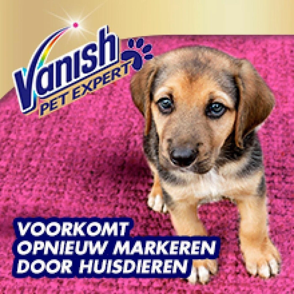 Vanish Pet Expert Schuim 600ml 4 Vanish Pet Expert Schuim 600ml - Afbeelding 4