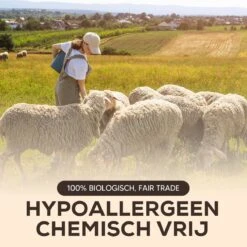 Drogerballen - Droogballen - Wasdrogerballen - Dryerballs - 6 Stuks - XL Formaat - Wol - Set -Levensrandproducten 1200x1200 433