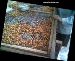 Wasnoten 750gr Met Waszakje - Zeepnoten - Natuurlijk Wassen -Levensrandproducten 1200x973