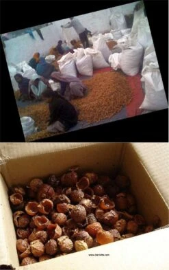 Wasnoten 750gr Met Waszakje - Zeepnoten - Natuurlijk Wassen -Levensrandproducten 755x1200