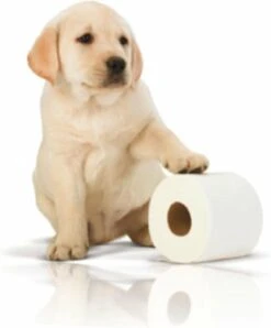 Page Toiletpapier - Eco - Duurzaam - 24 Rollen - Voordeelverpakking -Levensrandproducten 996x1200 2